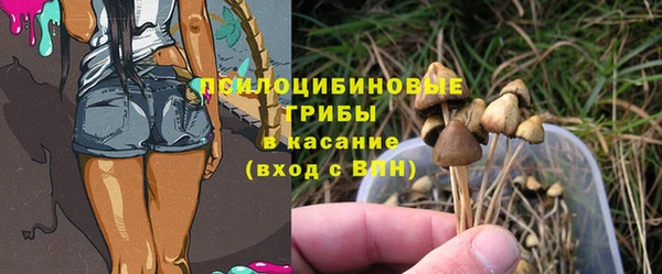 герыч Алзамай
