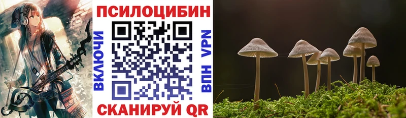 цены наркотик  Георгиевск  Галлюциногенные грибы Psilocybine cubensis 